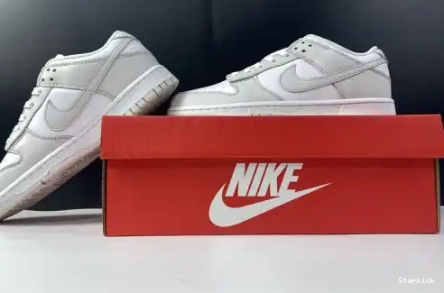 Dust" Dunk "Photon Nike Low DD1503-103 0622
